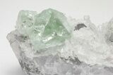 Glass-Clear, Green Cubic Fluorite Crystals on Quartz - China #205576-2